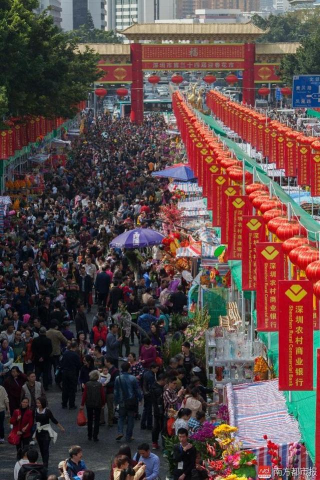 狗人遇龙年2022运势如何 狗人遇龙年2022运势如何