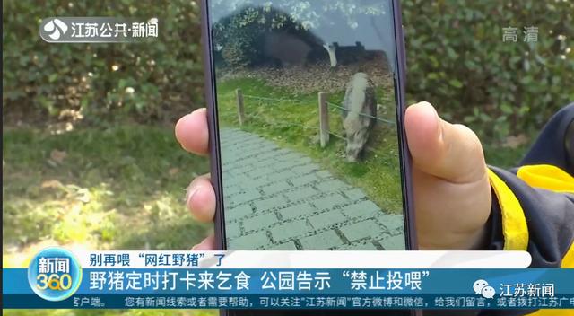 八字中带了7个水 八字中带了7个水