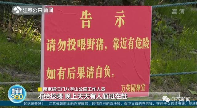 八字中带了7个水 八字中带了7个水
