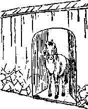 在线看八字五鬼 在线看八字五鬼