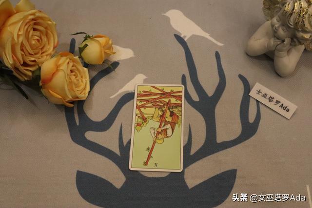 狮子座2022整体运势 狮子座2022整体运势