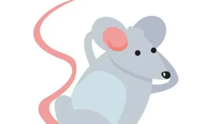 截屏2022-05-19 下午8.37.32.png