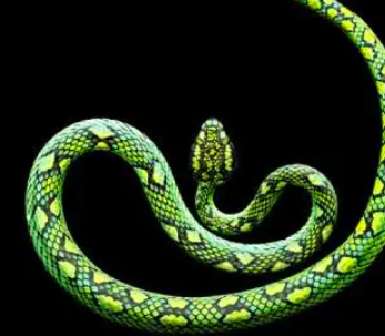 截屏2022-03-11 下午1.30.28.png