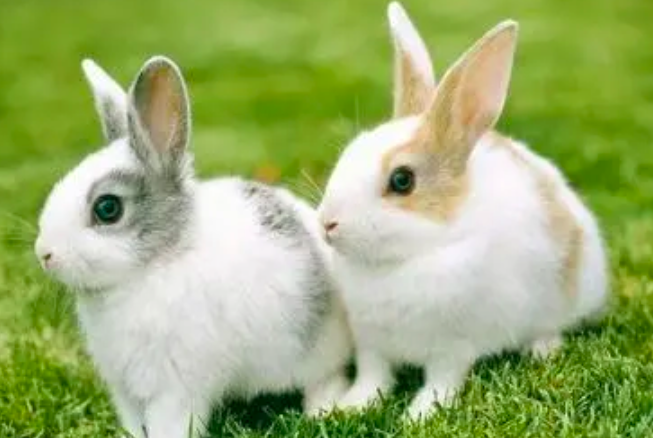 8fa52bbc7fe12aaa02e60458d999d0e6.png 截屏2022-03-15 下午1.10.46.png