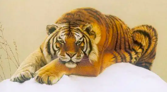 cf40c4aba3947104ec4144e880c1ecbe.png 截屏2022-03-14 下午4.53.26.png