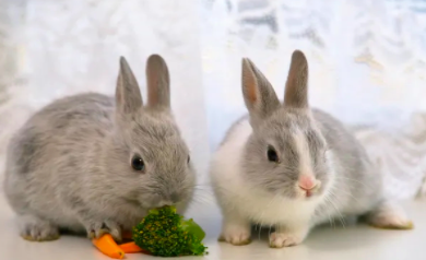 截屏2022-03-16 下午2.28.54.png