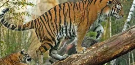 截屏2022-03-11 下午11.37.17.png