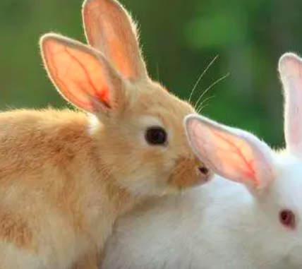 截屏2022-03-12 上午8.42.08.png