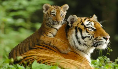 截屏2022-03-16 下午2.34.06.png