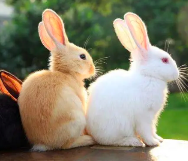 4b3df238617528590867fcaea8957397.png 截屏2022-03-13 上午9.06.32.png