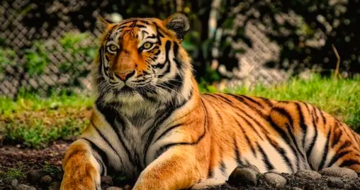 截屏2022-06-08 16.50.44.png