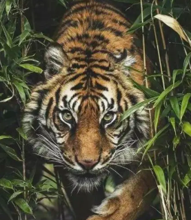 880e2b6bc1263be9b8fcc78d8df6b0ed.png 截屏2022-03-11 上午11.55.20.png