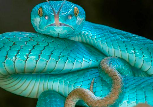 截屏2022-03-17 下午5.19.55.png