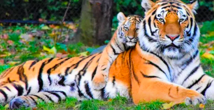 截屏2022-03-11 下午10.53.15.png