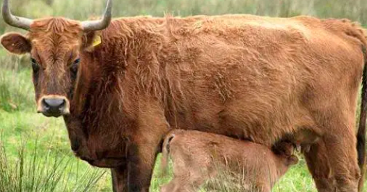 截屏2022-03-11 上午11.58.15.png