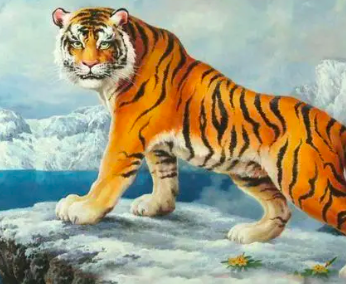 截屏2022-03-08 上午11.32.24.png