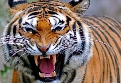 截屏2022-03-09 下午4.47.43.png