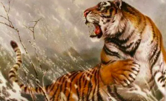 截屏2022-03-10 上午10.53.05.png