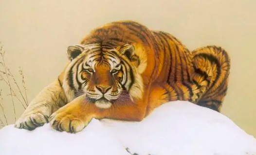 81da853da83cf84b9ae007dbea347a89.png 截屏2022-03-10 上午8.49.01.png