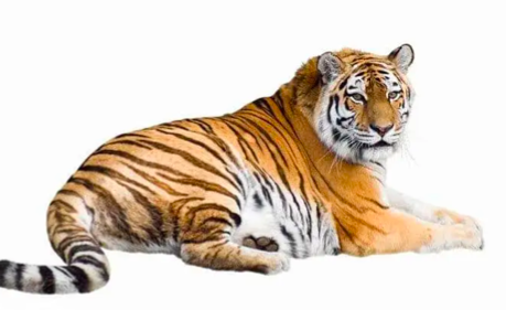 截屏2022-03-10 上午9.56.11.png