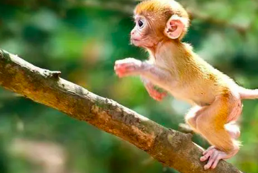 截屏2022-03-09 下午3.15.22.png