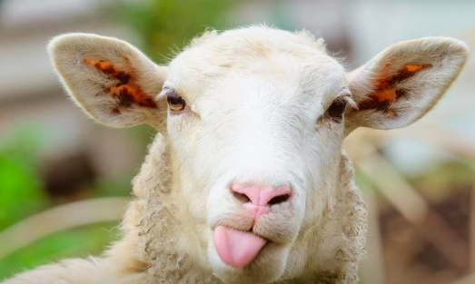 5ab242b39f62536ca310a0bef07345d9.png 截屏2022-03-10 上午11.23.16.png