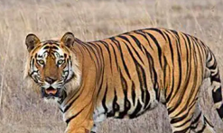 6468c58350fa6b89ce760e93018fe9b2.png 截屏2022-03-09 下午1.26.18.png