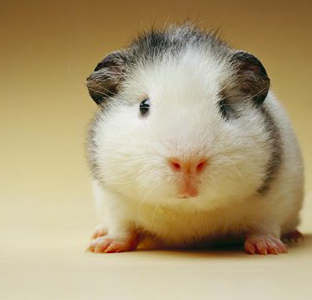 截屏2022-03-11 下午1.42.39.png