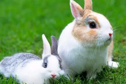 47166c49bcd2094269be9c9aaef75b7e.png 截屏2022-03-12 下午11.26.08.png