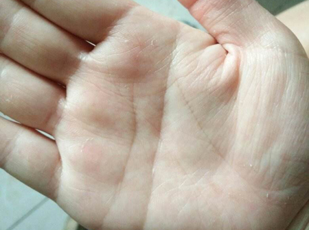断掌是什么意思