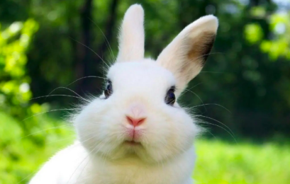 截屏2022-03-16 下午3.22.36.png