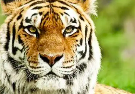 205d997deb578bfdf30d6226d5121b67.png 截屏2022-03-11 下午10.46.01.png