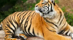 截屏2022-03-09 下午1.26.14.png