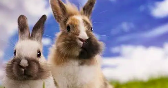 截屏2022-03-12 上午8.46.21.png