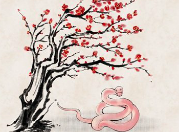 截屏2022-02-12 下午11.55.42.png