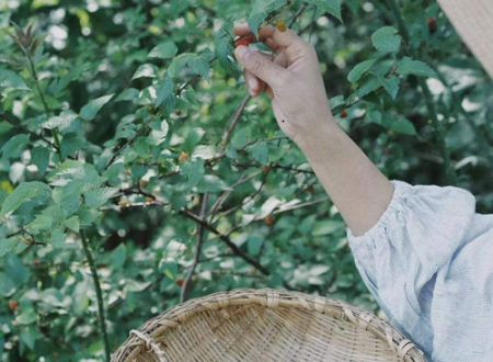 女人右手心有痣好不好
