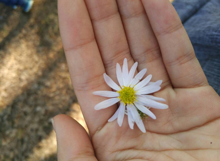 女生左手掌上有痣好不好