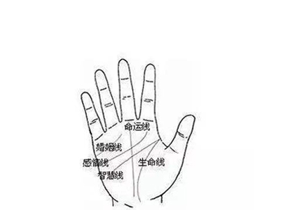 手相解读：生命线短，命运线长