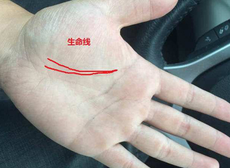 生命线解读