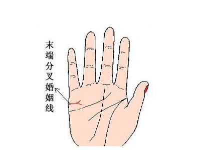 婚姻线末端分叉是什么意思