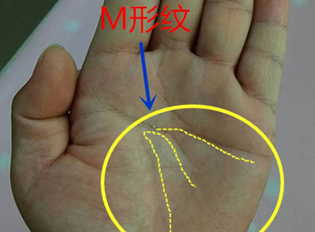 m型掌纹的人多吗